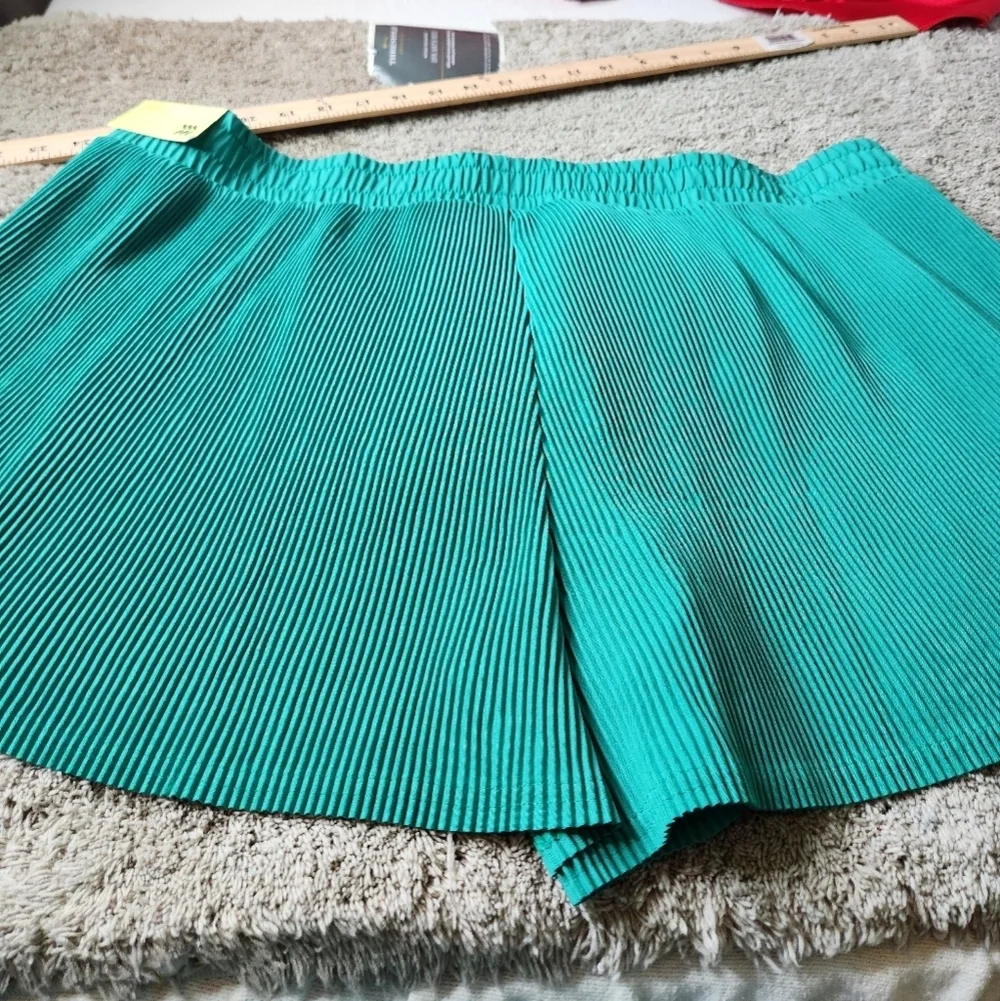 Women's XXL Mid Rise Micro Green Pleated Shorts - All In Motion